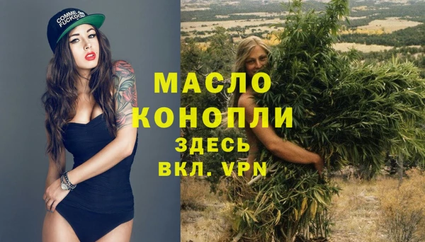 спиды Дмитриев