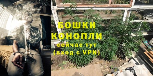 мдпв Дмитровск