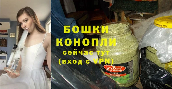 мдпв Дмитровск