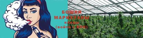 спиды Дмитриев