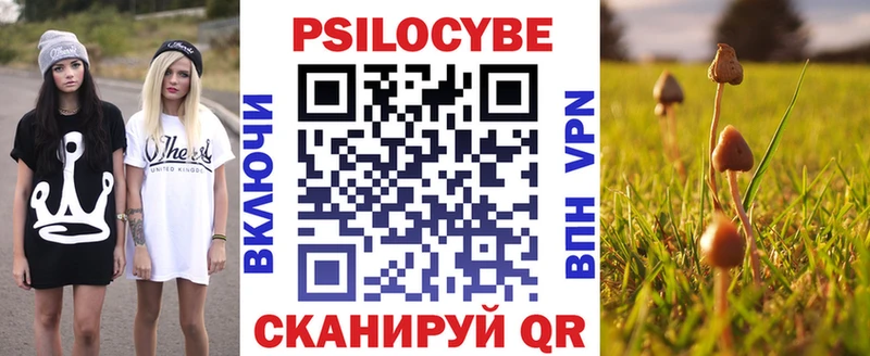 Купить закладки  Родники  Галлюциногенные грибы мухоморы 